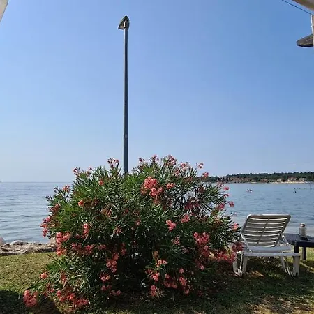 Villa Ruzica Dajla Exterior foto