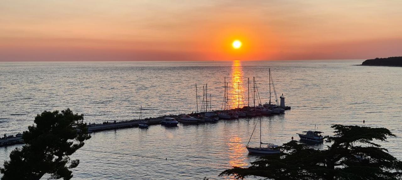 Apartman Ruzica