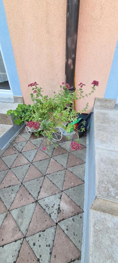 Ruzica Apartment *