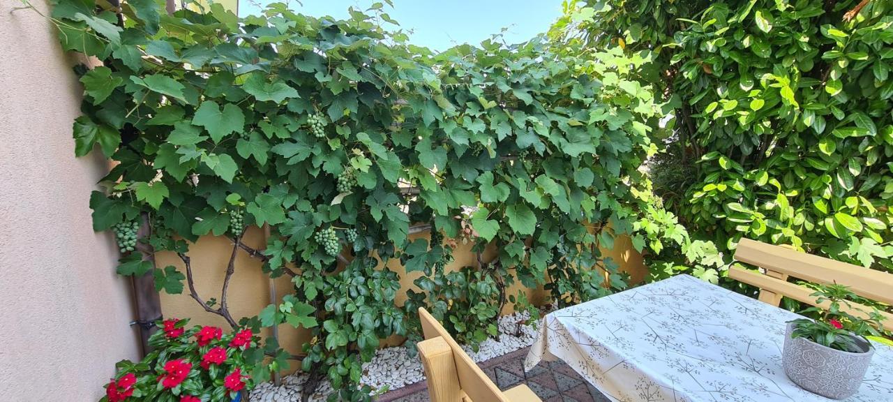 Apartment Ruzica *