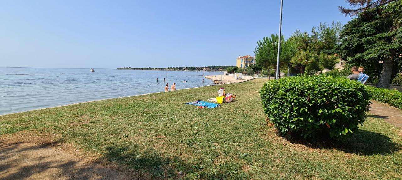 Ruzica Dajla