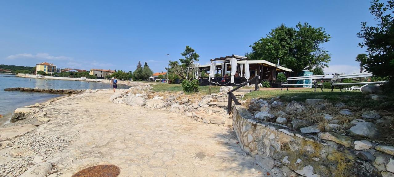Ruzica * Dajla