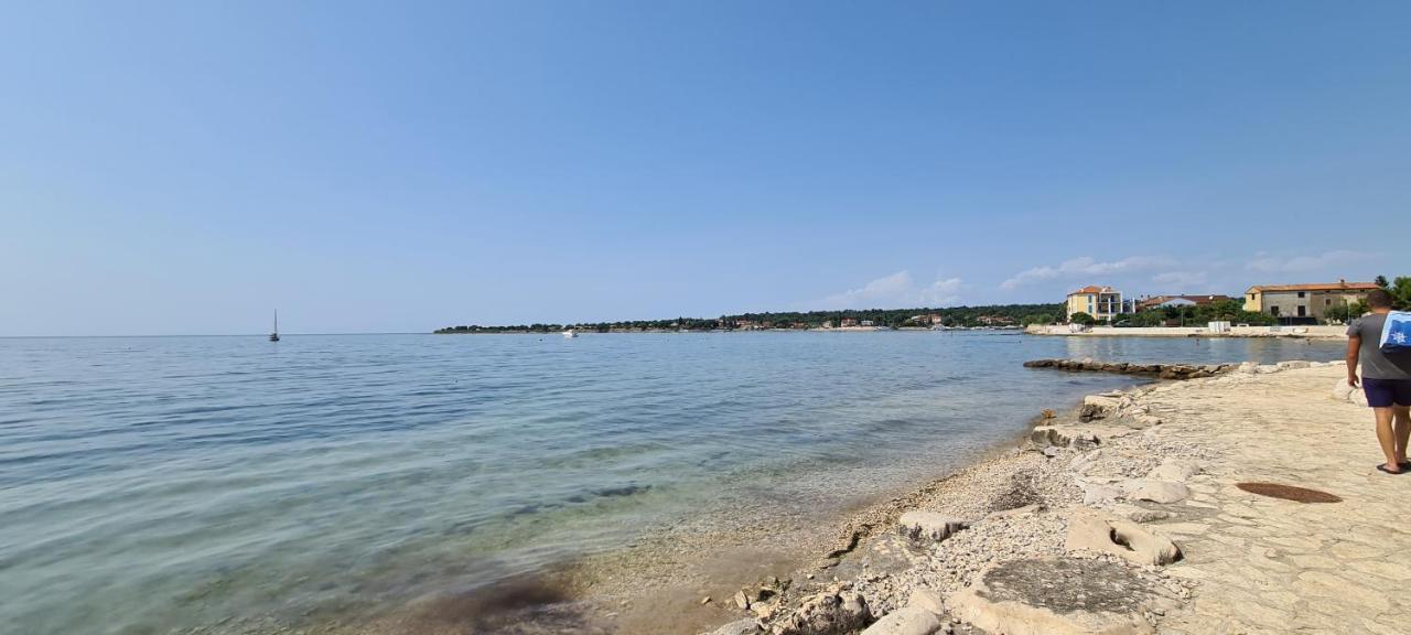 Apartman Ruzica *